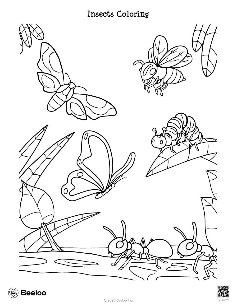 Printable Insect Coloring Pages 2025 Printable Insect Coloring Pages 2025
