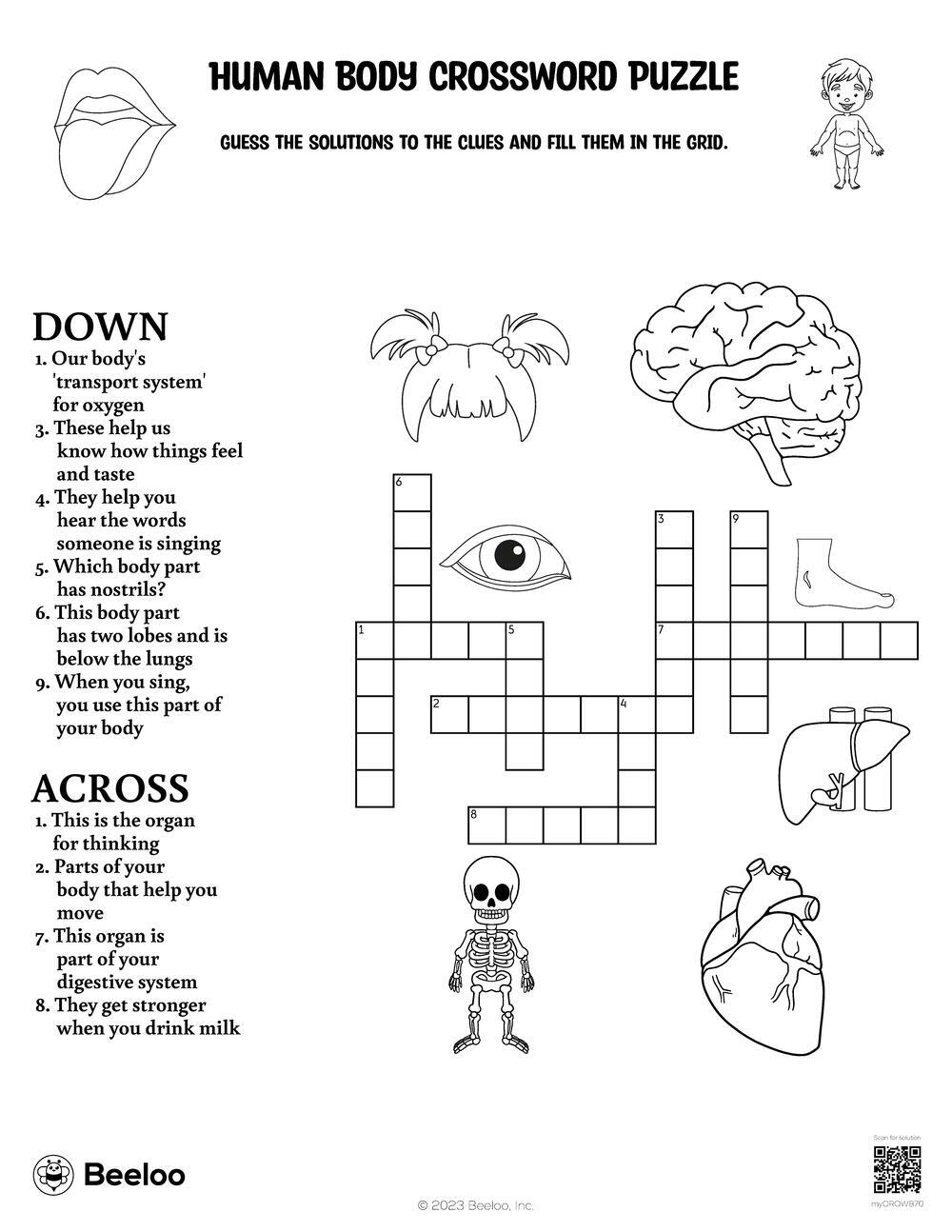 Human Body Crossword Puzzle Beeloo Printable Crafts And Activities