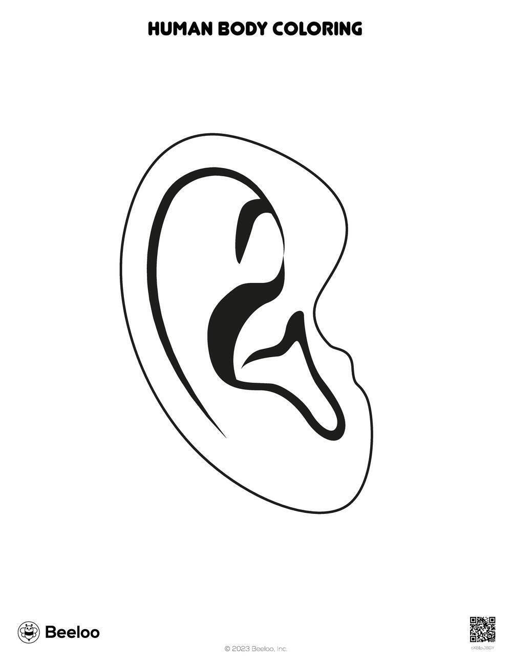Ear Coloring Pages For Kids